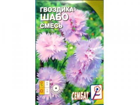 Купить Семена Гвоздики Лилипут